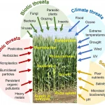Švenčių sezonas: kaip išlaikyti emocinę pusiausvyrą