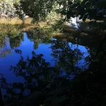 Keista žalsva spalva Staten saloje sukelia gyventojų nerimą