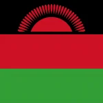 Salmonelių plitimas tarp žmonių, gyvūnų ir aplinkos Malavyje: nauji tyrimai