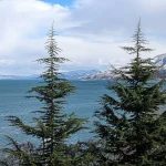 Indijoje atrasta paslaptinga povandeninė struktūra gali pakeisti civilizacijos istoriją