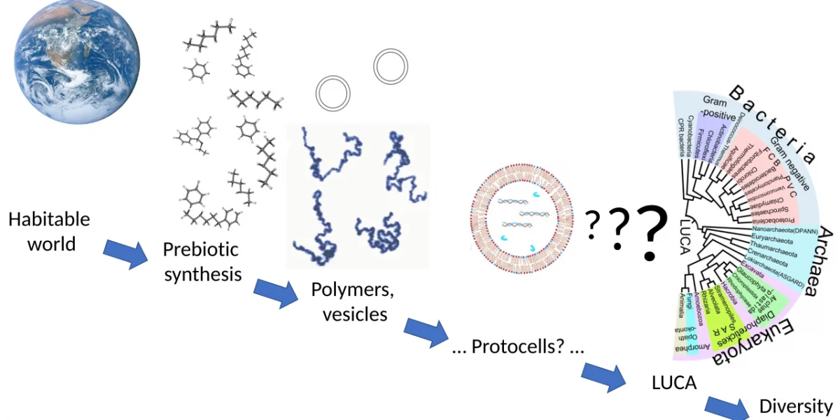 Mokslininkai žengia žingsnį į priekį aiškindamiesi gyvybės kilmę Žemėje