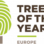 Lietuvos ąžuolas iš Laukių pelno prestižinį Europos metų medžio titulą