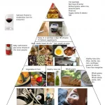 Nauja maisto piramidė: kas turėtų būti jūsų lėkštėje