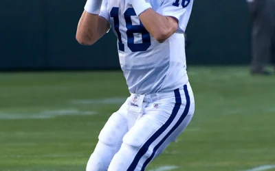 NFL komandos vertinamos pagal laisvųjų agentų klases