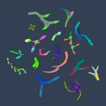 Paslėptas vyro gyvenimas: kaip virtuali tapatybė sujaukė šeimą