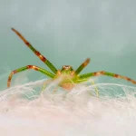 Kaip kelios minutės aktyvumo gali sumažinti riziką susirgti pagrindinėmis ligomis