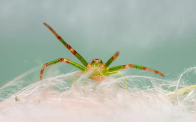 Kaip kelios minutės aktyvumo gali sumažinti riziką susirgti pagrindinėmis ligomis