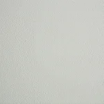 Viduramžių sienų tapyba atrasta Durhamo pilyje