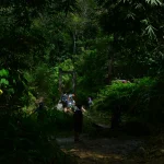 Zarasų miškuose sėkmingai surastas pasiklydęs vyras