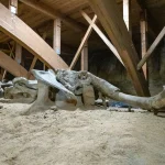 Prancūzijoje Aptiktas Sėdinčio Skeletas