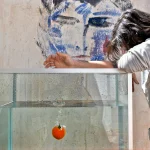 Sandro Tonali persikėlimo į Mančesterio United naujienos: galutinis susitarimas su Newcastle