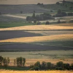 Nauji daugiabučiai Šilalėje: regiono atsigavimas po penkiasdešimtmečio stagnacijos