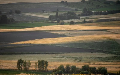 Nauji daugiabučiai Šilalėje: regiono atsigavimas po penkiasdešimtmečio stagnacijos