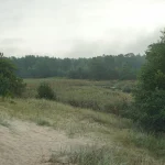 Neįprasti dalykai, kuriuos pastebi turistai Niujorke