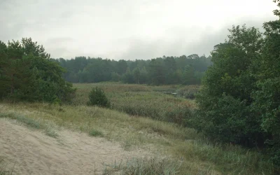 Neįprasti dalykai, kuriuos pastebi turistai Niujorke