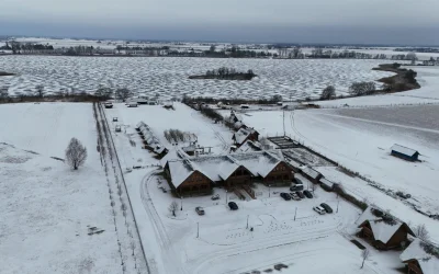 Didžiosios Formulės 1 Japonijos kvalifikacijos staigmenos ir pralaimėtojai