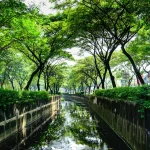 Singapūras: gamtos ir miesto harmonija