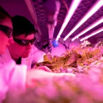 Dirbtinis intelektas: mokslinių tyrimų proveržis ar stagnacijos priežastis?