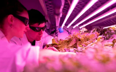 Dirbtinis intelektas: mokslinių tyrimų proveržis ar stagnacijos priežastis?