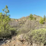 Gyvūnų buveinių fragmentacijos poveikis ekosistemoms