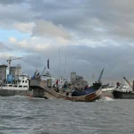 Vokietijoje vykdoma į krantą išmesto banginio gelbėjimo operacija