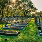 Springthorpe memorialas: meilės ir skausmo liudijimas Kew kapinėse