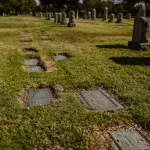 Paslaptingas žirgo kapas: Lawrino istorija