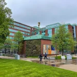 Nauji atradimai apie vitaminą B1: seniai pamiršta teorija gavo patvirtinimą