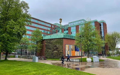 Nauji atradimai apie vitaminą B1: seniai pamiršta teorija gavo patvirtinimą