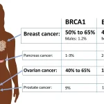 BRCA genų ryšiai su galvos ir kaklo vėžio rizika