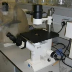 Mokslininkai atskleidžia, kaip bakterijos „sprogsta“ ir plinta antibiotikų atsparumas