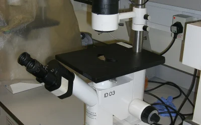 Mokslininkai atskleidžia, kaip bakterijos „sprogsta“ ir plinta antibiotikų atsparumas