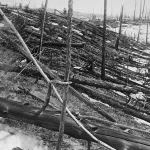 Meteorų smūgiai galėjo sukurti sąlygas gyvybei Žemėje