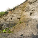 Mokslininkai atrado senovinį ekosistemą, pakeičiančią supratimą apie gyvybės raidos istoriją