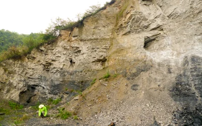 Mokslininkai atrado senovinį ekosistemą, pakeičiančią supratimą apie gyvybės raidos istoriją