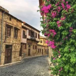 Mokslininkai atskleidžia naujus būdus kovoti su oro tarša