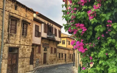 Mokslininkai atskleidžia naujus būdus kovoti su oro tarša
