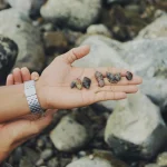 500 milijonų metų senumo fosilėje atrasta nagų struktūra keičia vorų kilmės istoriją