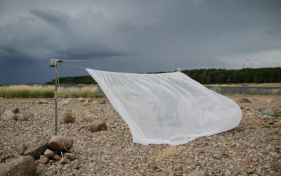 Taikos susitarimas tarp JAV ir Irano patiria išbandymus