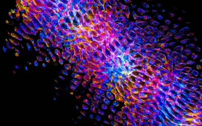 Nauji superatomai: revoliucija kvantiniuose kompiuteriuose