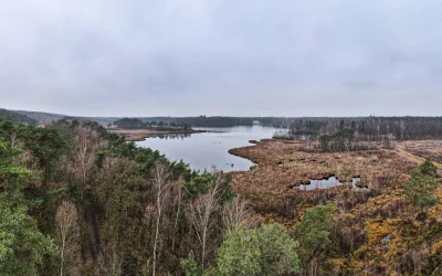 Péter Magyar pergalė Vengrijoje: ką tai reiškia Ukrainai?