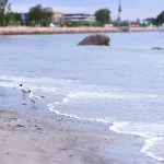 Mokslininkai atrado baltymą, galintį sulėtinti senėjimo procesus