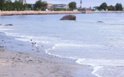 Mokslininkai atrado baltymą, galintį sulėtinti senėjimo procesus
