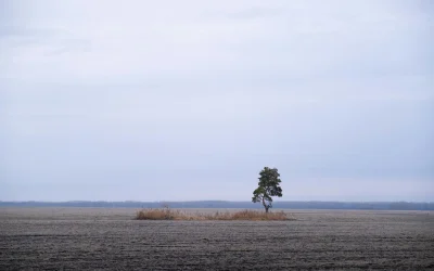 Atrasta veiksnys, lėtinantis senėjimą imuniniuose darbuose