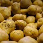 Naujos erdvės tyrinėjimo galimybės: atradimai ir nuotykiai