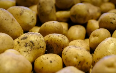 Naujos erdvės tyrinėjimo galimybės: atradimai ir nuotykiai