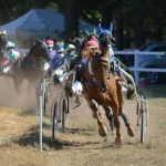 Statistikos analizė: kaip pasirinkti Grand National nugalėtoją?