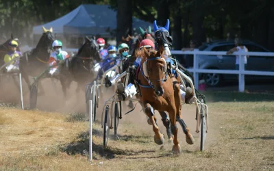 Statistikos analizė: kaip pasirinkti Grand National nugalėtoją?