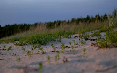 Europos lyderiai siekia sprendimo Hormuzo sąsiauryje, bet reikalauja ugnies nutraukimo