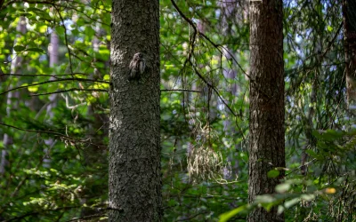 Jungtinės Valstijos stiprina spaudimą Iranui: infrastruktūros taikiniai